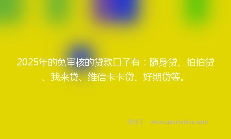 2025年的免审核的贷款口子有：随身贷、拍拍贷、我来贷、维信卡卡贷、好期贷等。