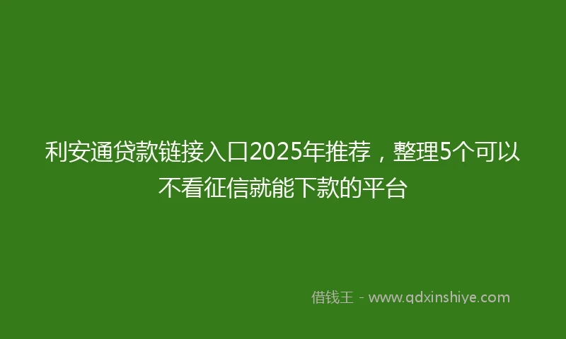利安通贷款链接入口2025年推荐，整理5个可以不看征信就能下款的平台