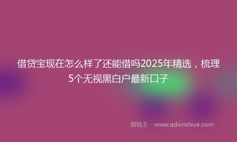 借贷宝现在怎么样了还能借吗2025年精选，梳理5个无视黑白户最新口子