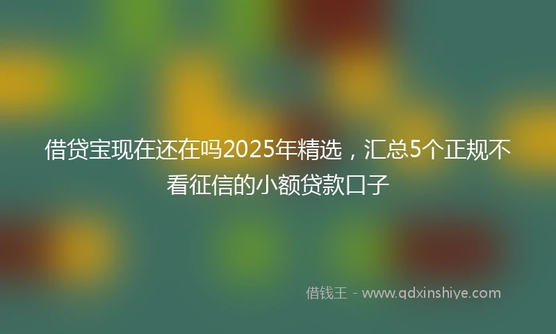 借贷宝现在还在吗2025年精选，汇总5个正规不看征信的小额贷款口子