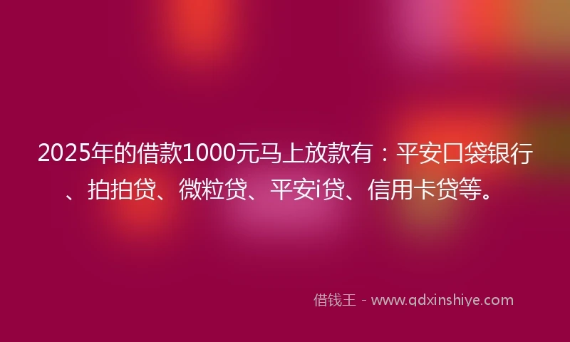 2025年的借款1000元马上放款有：平安口袋银行、拍拍贷、微粒贷、平安i贷、信用卡贷等。