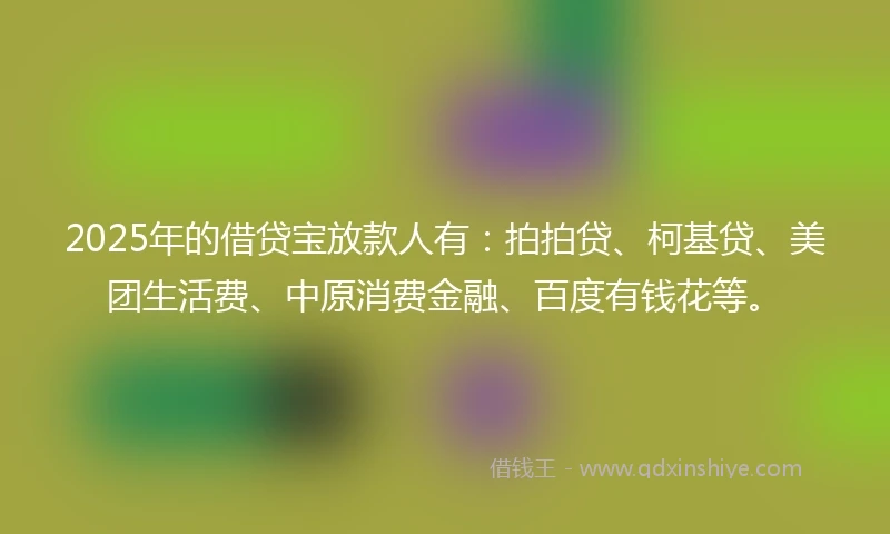 2025年的借贷宝放款人有：拍拍贷、柯基贷、美团生活费、中原消费金融、百度有钱花等。