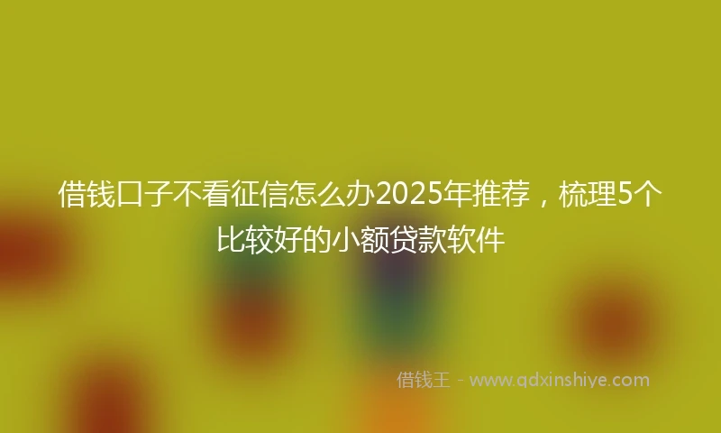 借钱口子不看征信怎么办2025年推荐，梳理5个比较好的小额贷款软件