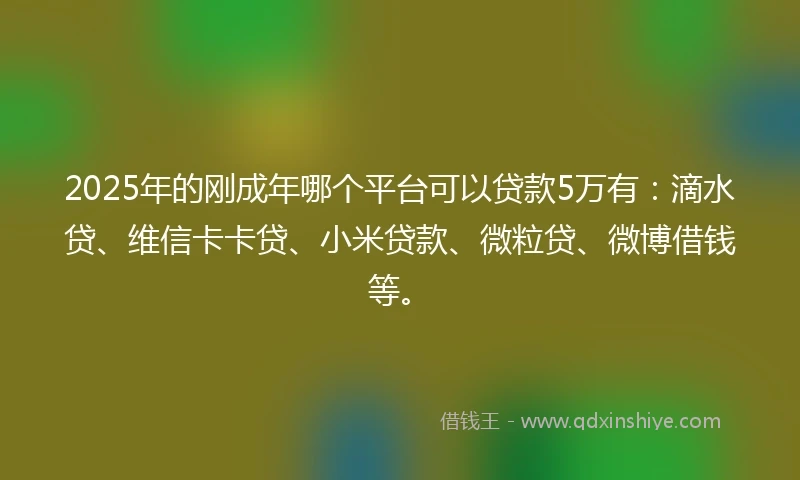 2025年的刚成年哪个平台可以贷款5万有：滴水贷、维信卡卡贷、小米贷款、微粒贷、微博借钱等。