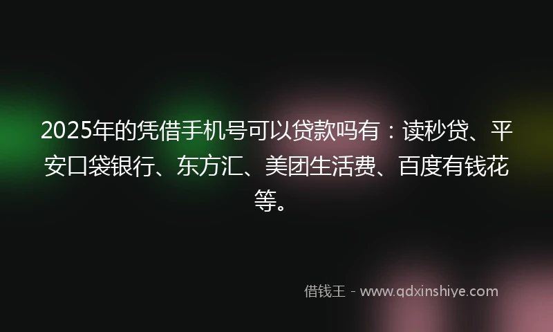 2025年的凭借手机号可以贷款吗有：读秒贷、平安口袋银行、东方汇、美团生活费、百度有钱花等。