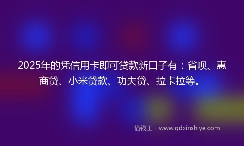 2025年的凭信用卡即可贷款新口子有：省呗、惠商贷、小米贷款、功夫贷、拉卡拉等。