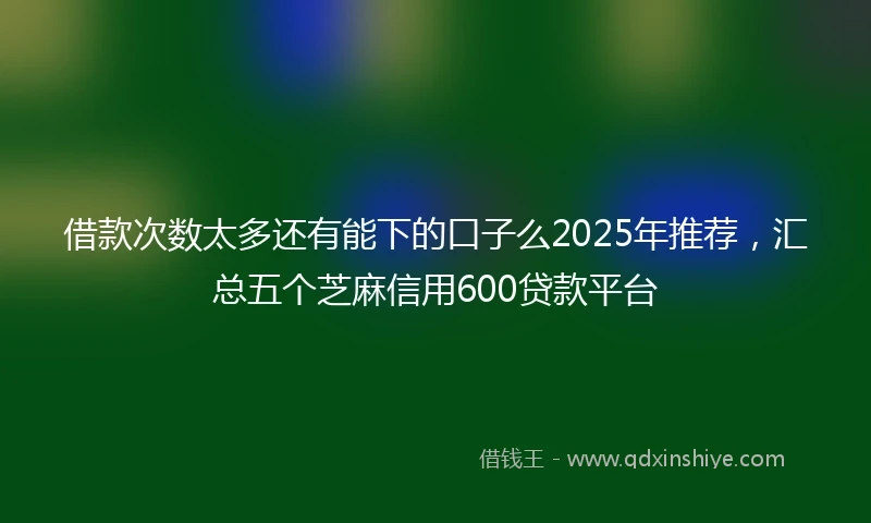 借款次数太多还有能下的口子么2025年推荐，汇总五个芝麻信用600贷款平台