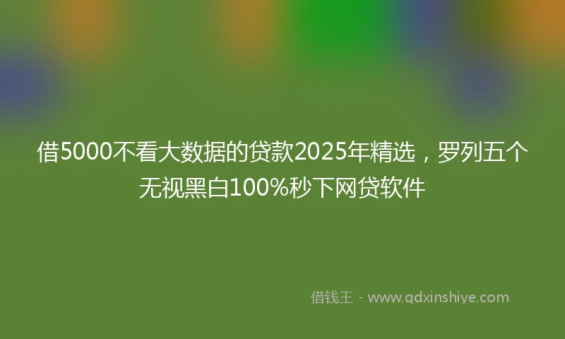 借5000不看大数据的贷款2025年精选，罗列五个无视黑白100%秒下网贷软件