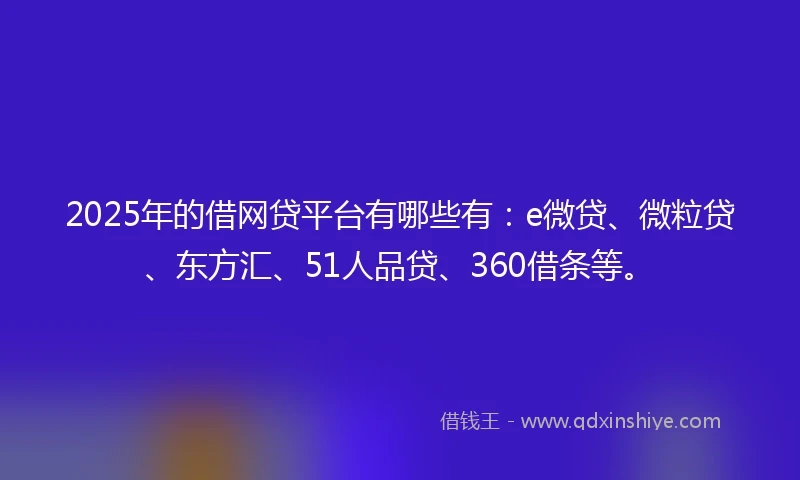 2025年的借网贷平台有哪些有：e微贷、微粒贷、东方汇、51人品贷、360借条等。