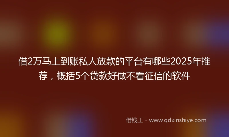借2万马上到账私人放款的平台有哪些2025年推荐，概括5个贷款好做不看征信的软件