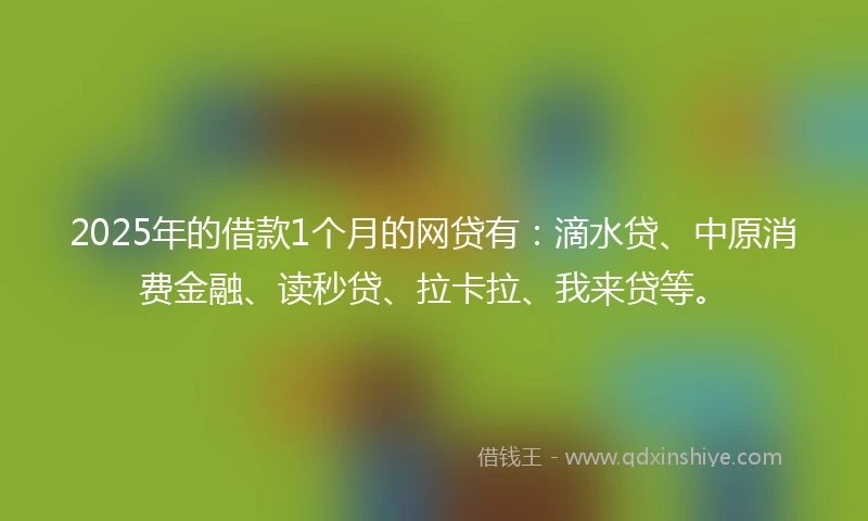 2025年的借款1个月的网贷有：滴水贷、中原消费金融、读秒贷、拉卡拉、我来贷等。