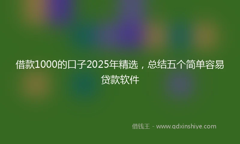 借款1000的口子2025年精选，总结五个简单容易贷款软件