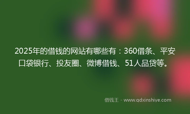 2025年的借钱的网站有哪些有：360借条、平安口袋银行、投友圈、微博借钱、51人品贷等。