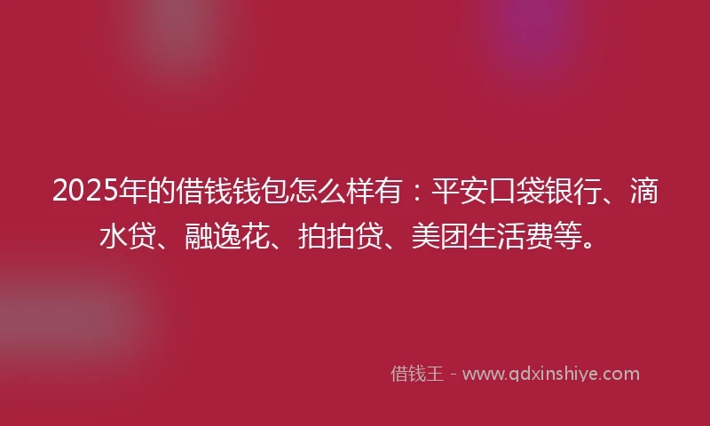 2025年的借钱钱包怎么样有：平安口袋银行、滴水贷、融逸花、拍拍贷、美团生活费等。