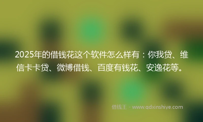 2025年的借钱花这个软件怎么样有：你我贷、维信卡卡贷、微博借钱、百度有钱花、安逸花等。