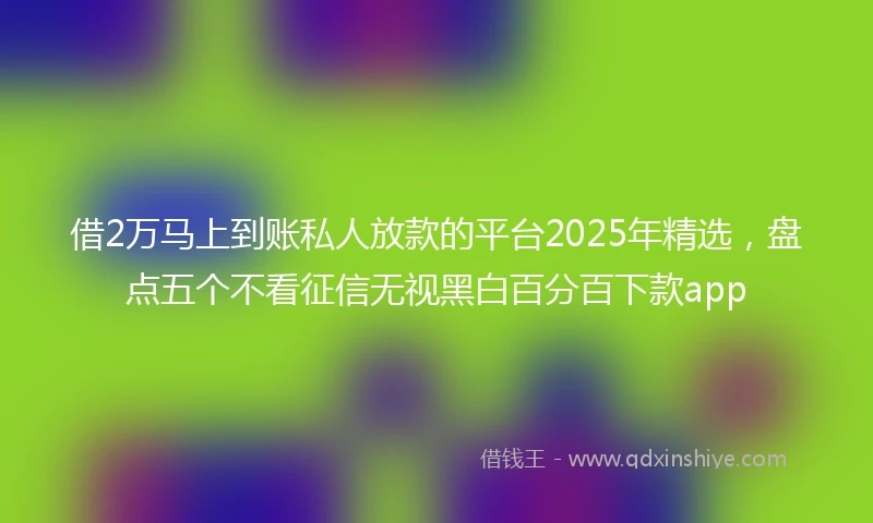 借2万马上到账私人放款的平台2025年精选，盘点五个不看征信无视黑白百分百下款app