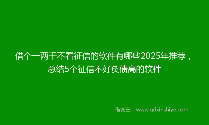借个一两千不看征信的软件有哪些2025年推荐，总结5个征信不好负债高的软件