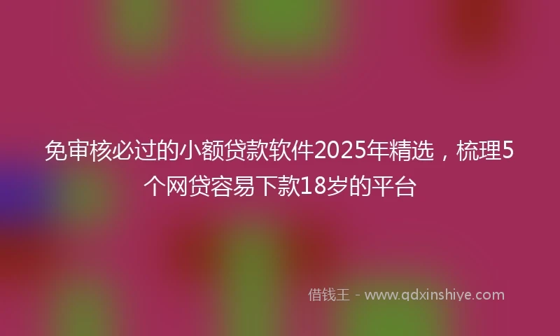 免审核必过的小额贷款软件2025年精选，梳理5个网贷容易下款18岁的平台