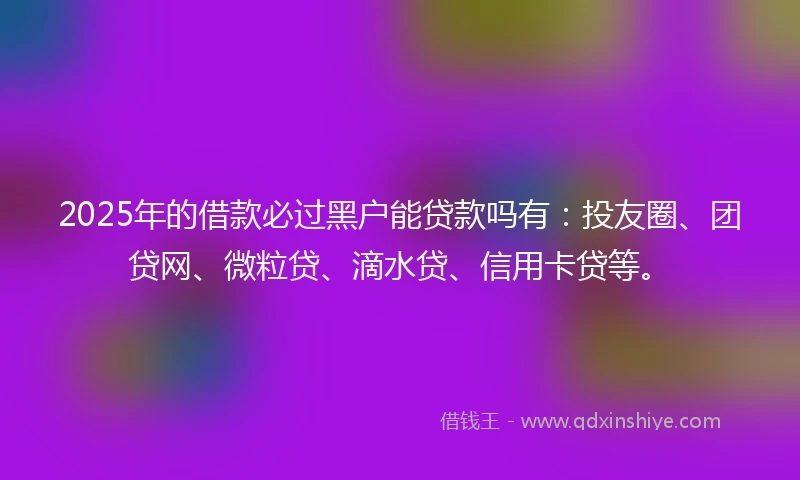 2025年的借款必过黑户能贷款吗有：投友圈、团贷网、微粒贷、滴水贷、信用卡贷等。