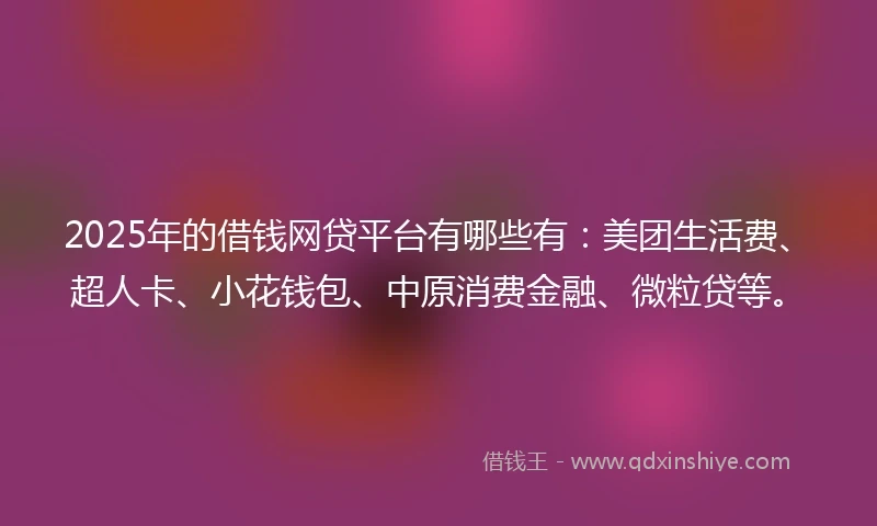 2025年的借钱网贷平台有哪些有：美团生活费、超人卡、小花钱包、中原消费金融、微粒贷等。
