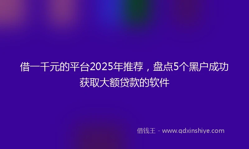 借一千元的平台2025年推荐，盘点5个黑户成功获取大额贷款的软件