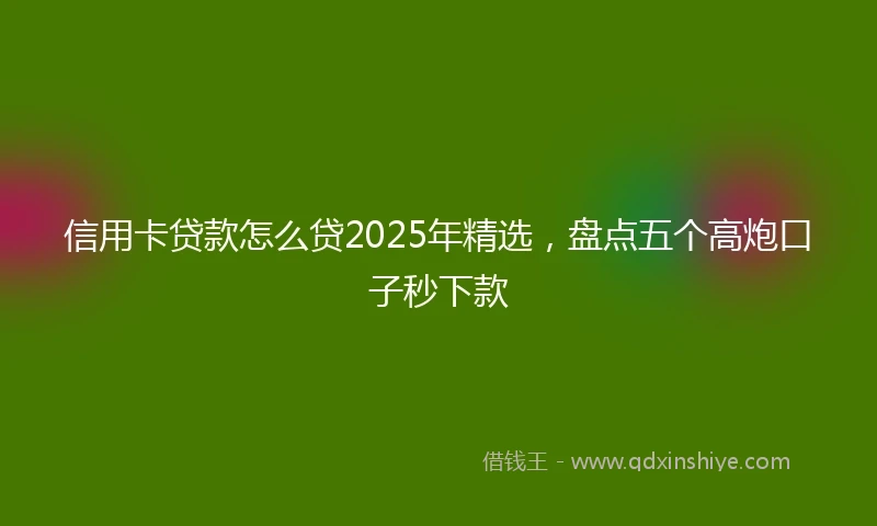 信用卡贷款怎么贷2025年精选，盘点五个高炮口子秒下款