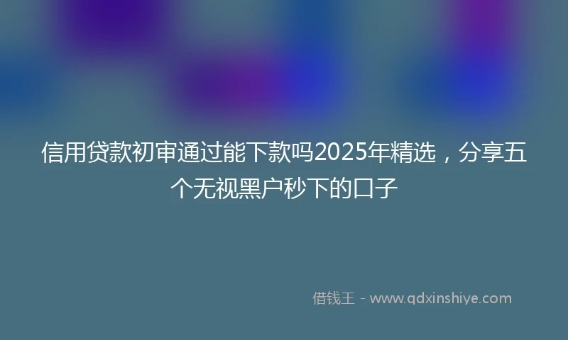 信用贷款初审通过能下款吗2025年精选,分享五个无视黑户秒下的口子