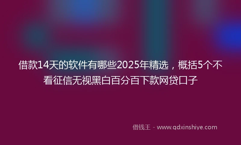 借款14天的软件有哪些2025年精选，概括5个不看征信无视黑白百分百下款网贷口子