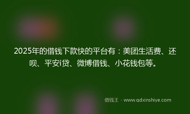 2025年的借钱下款快的平台有：美团生活费、还呗、平安i贷、微博借钱、小花钱包等。