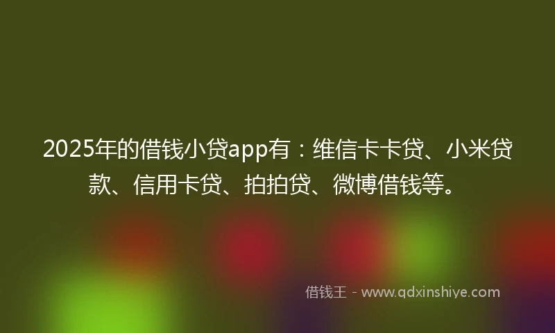 2025年的借钱小贷app有：维信卡卡贷、小米贷款、信用卡贷、拍拍贷、微博借钱等。