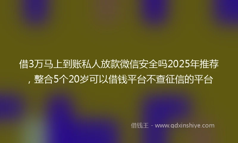 借3万马上到账私人放款微信安全吗2025年推荐，整合5个20岁可以借钱平台不查征信的平台