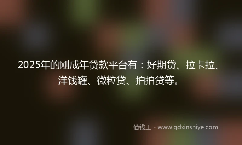 2025年的刚成年贷款平台有：好期贷、拉卡拉、洋钱罐、微粒贷、拍拍贷等。