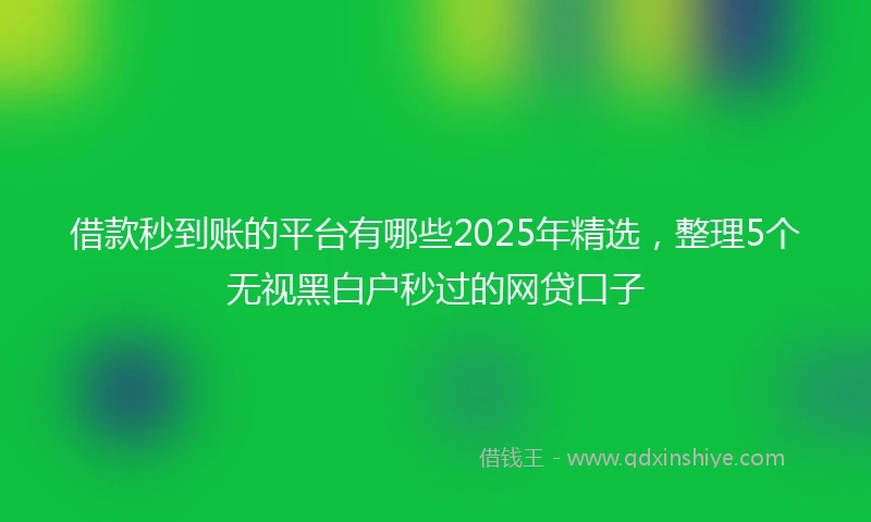 借款秒到账的平台有哪些2025年精选，整理5个无视黑白户秒过的网贷口子