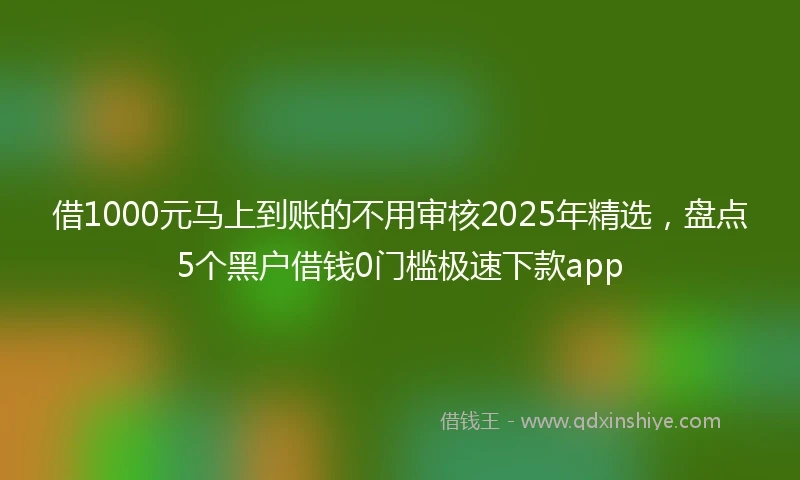 借1000元马上到账的不用审核2025年精选，盘点5个黑户借钱0门槛极速下款app