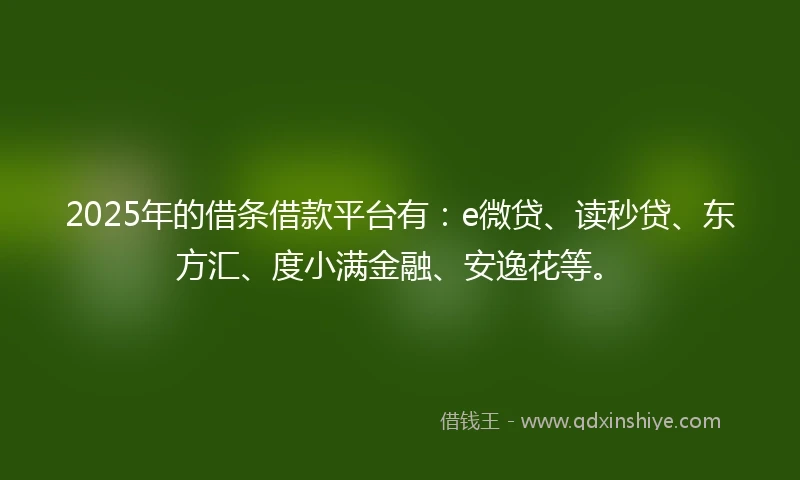 2025年的借条借款平台有：e微贷、读秒贷、东方汇、度小满金融、安逸花等。