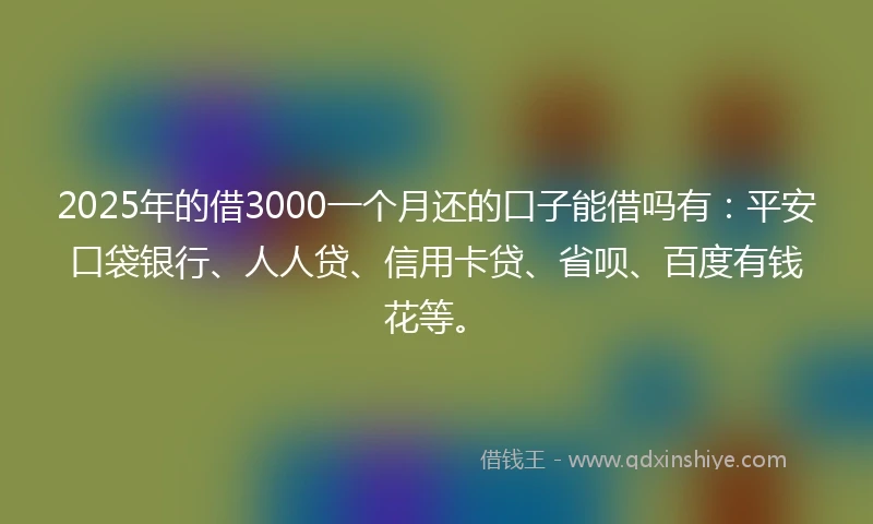 2025年的借3000一个月还的口子能借吗有:平安口袋银行、人人贷、信用卡贷、省呗、百度有钱花等。
