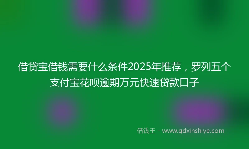 借贷宝借钱需要什么条件2025年推荐，罗列五个支付宝花呗逾期万元快速贷款口子