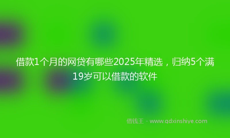 借款1个月的网贷有哪些2025年精选，归纳5个满19岁可以借款的软件