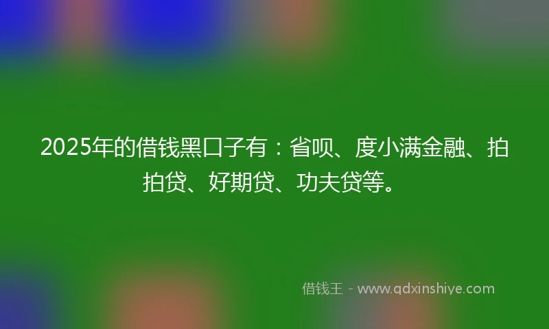 2025年的借钱黑口子有：省呗、度小满金融、拍拍贷、好期贷、功夫贷等。