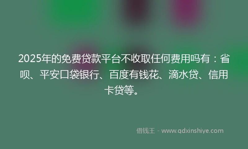 2025年的免费贷款平台不收取任何费用吗有：省呗、平安口袋银行、百度有钱花、滴水贷、信用卡贷等。