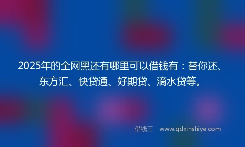 2025年的全网黑还有哪里可以借钱有：替你还、东方汇、快贷通、好期贷、滴水贷等。
