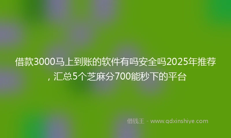 借款3000马上到账的软件有吗安全吗2025年推荐，汇总5个芝麻分700能秒下的平台