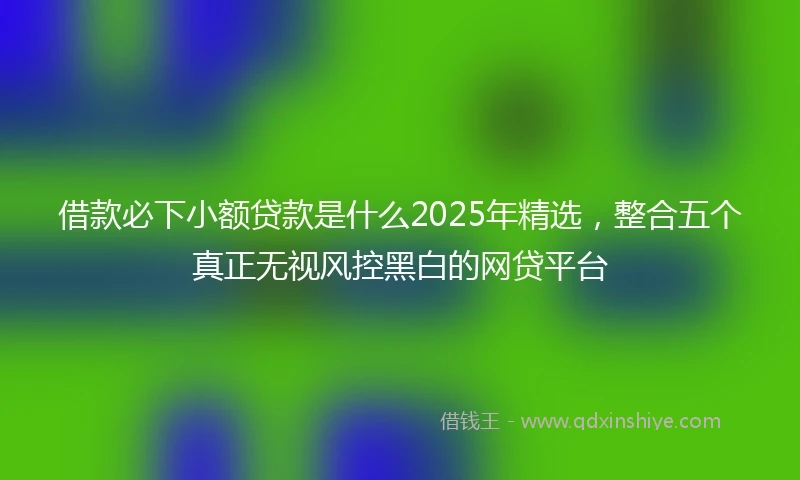 借款必下小额贷款是什么2025年精选，整合五个真正无视风控黑白的网贷平台