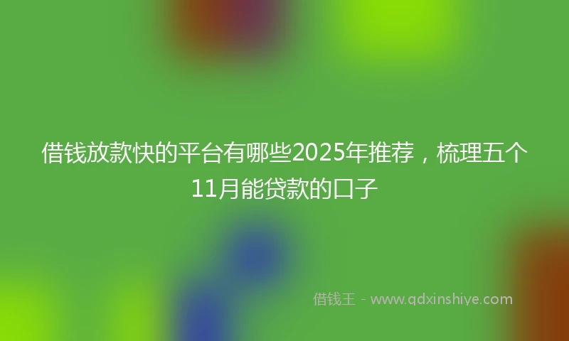 借钱放款快的平台有哪些2025年推荐，梳理五个11月能贷款的口子