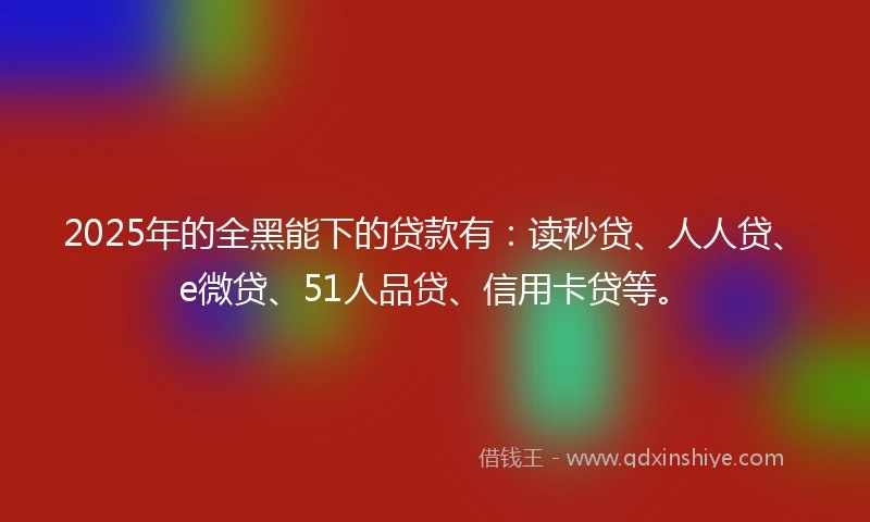 2025年的全黑能下的贷款有：读秒贷、人人贷、e微贷、51人品贷、信用卡贷等。