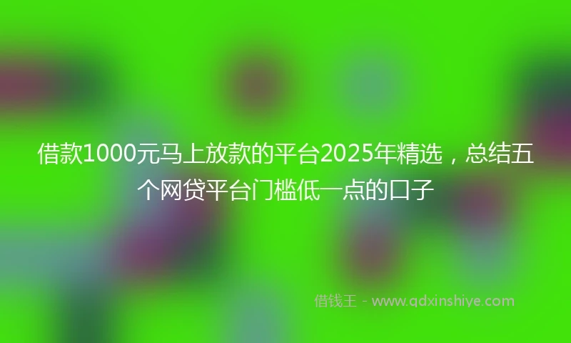 借款1000元马上放款的平台2025年精选，总结五个网贷平台门槛低一点的口子