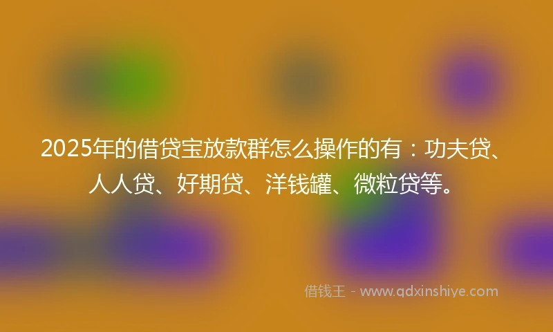 2025年的借贷宝放款群怎么操作的有：功夫贷、人人贷、好期贷、洋钱罐、微粒贷等。