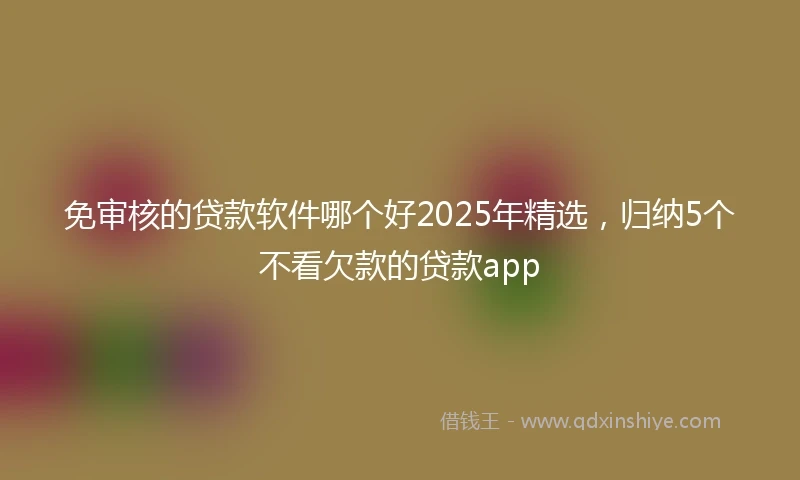 免审核的贷款软件哪个好2025年精选，归纳5个不看欠款的贷款app
