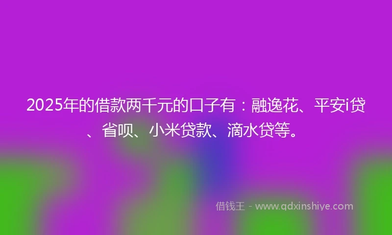 2025年的借款两千元的口子有：融逸花、平安i贷、省呗、小米贷款、滴水贷等。