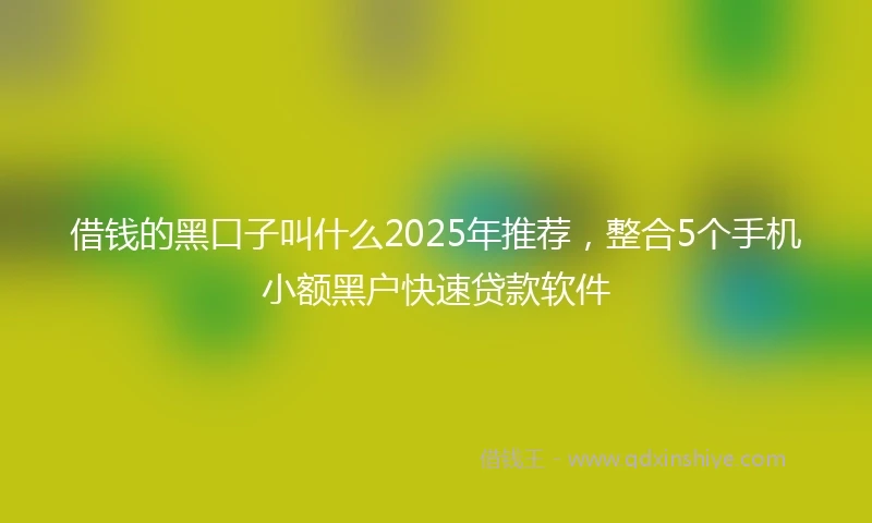 借钱的黑口子叫什么2025年推荐，整合5个手机小额黑户快速贷款软件
